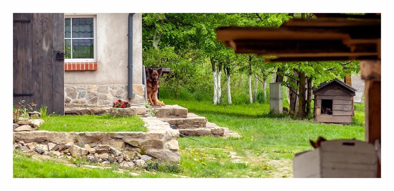 Kozy I Roze Villa Oldrzychowice Klodzkie Exterior foto