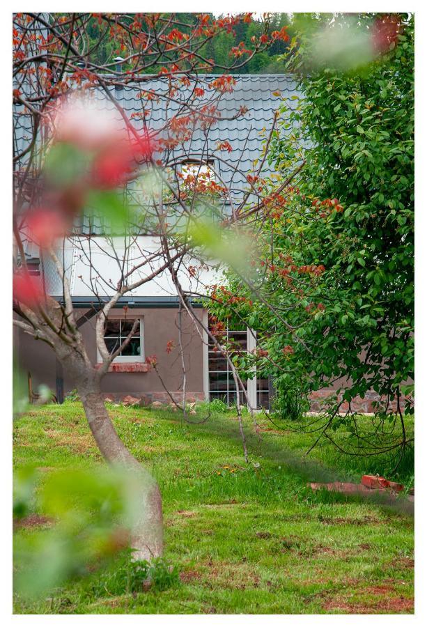 Kozy I Roze Villa Oldrzychowice Klodzkie Exterior foto