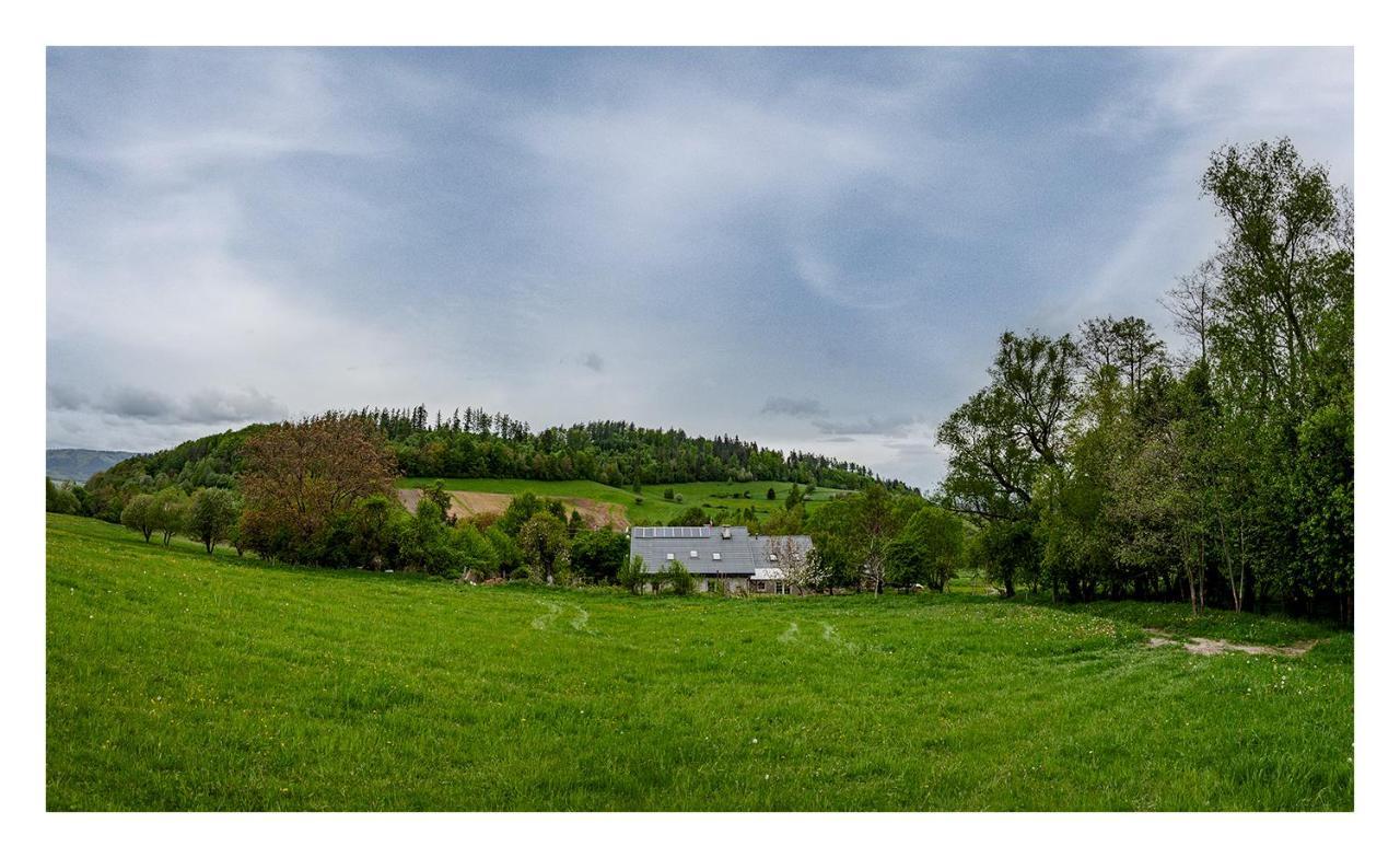 Kozy I Roze Villa Oldrzychowice Klodzkie Exterior foto