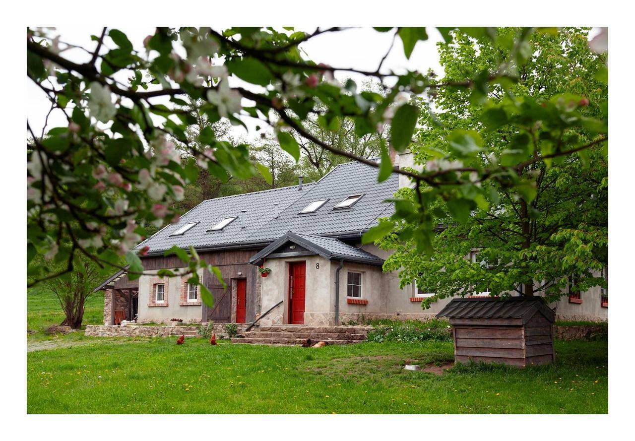 Kozy I Roze Villa Oldrzychowice Klodzkie Exterior foto